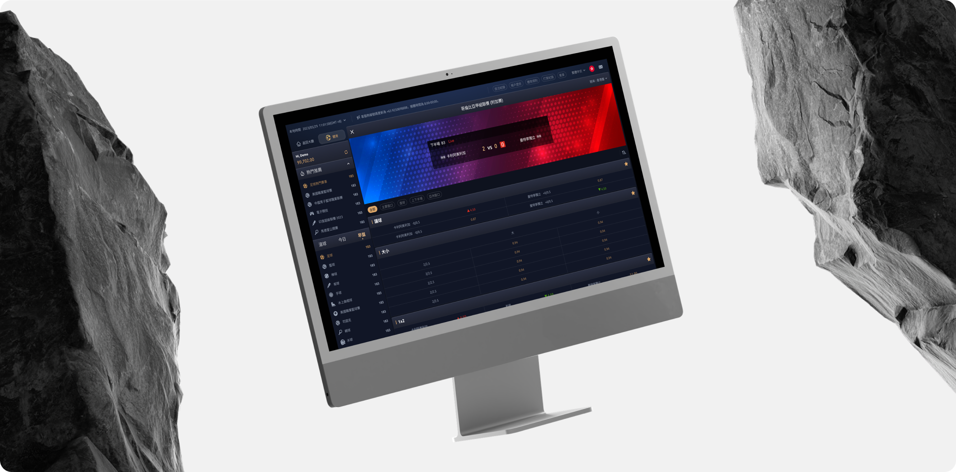 thumbnail of WE Sport book